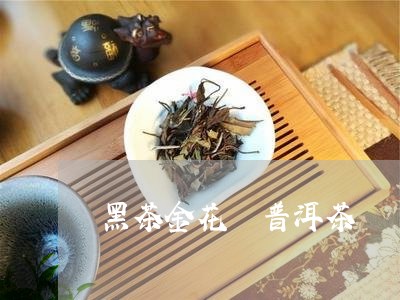 黑茶金花 普洱茶/2023041252718